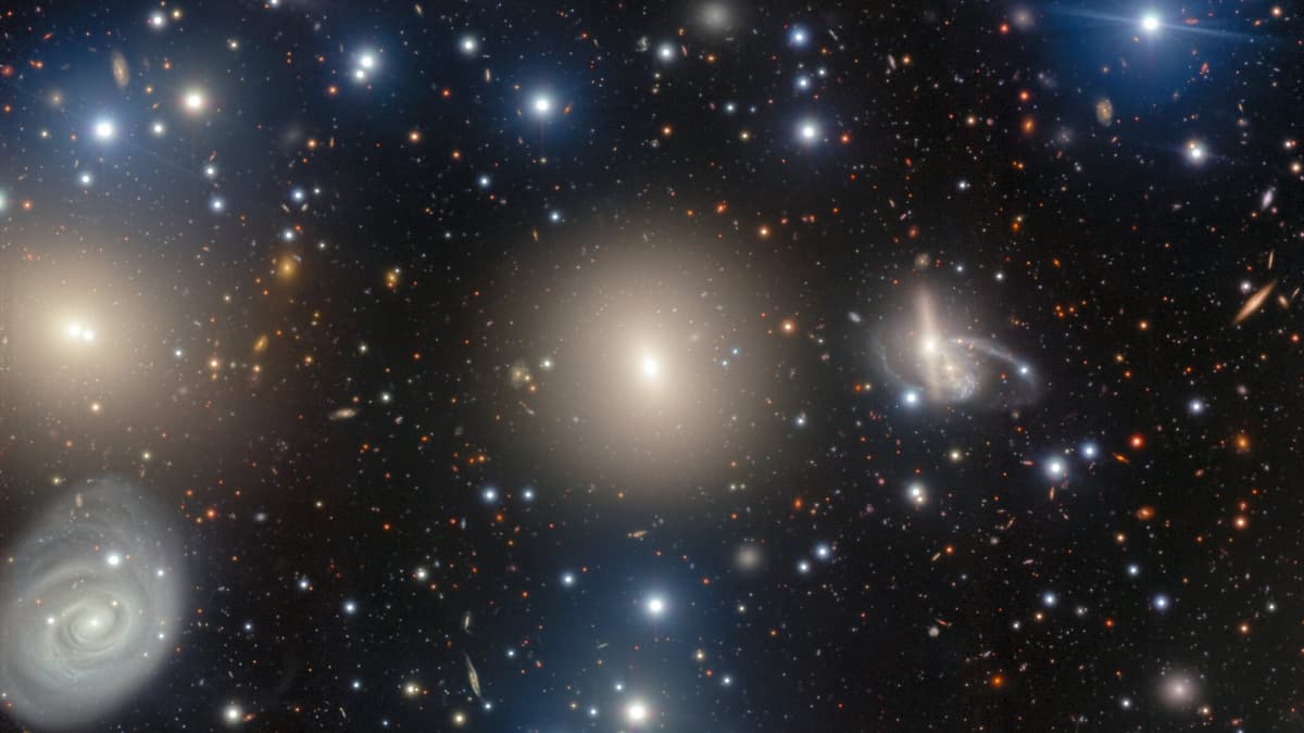 A dense field of galaxies in the central region of the Perseus Cluster; the large elliptical galaxy NGC 1270 sits at the centre of the frame.