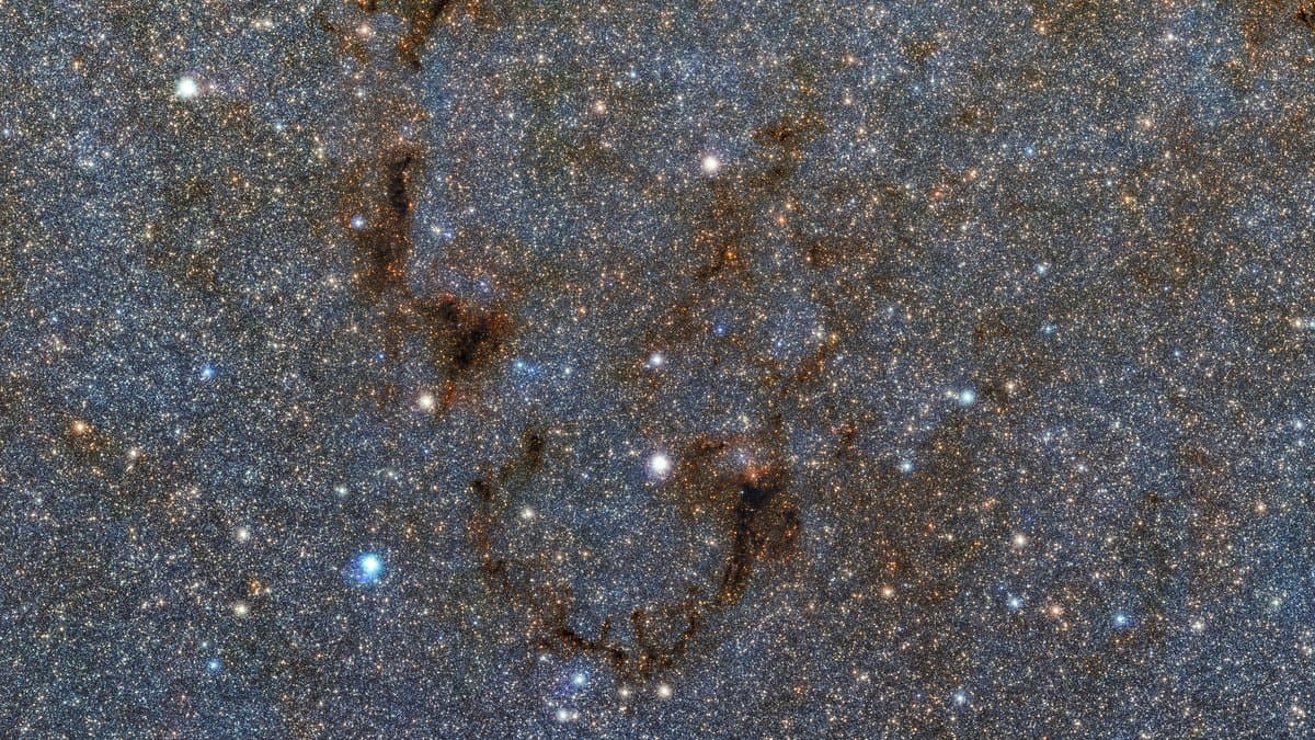 A dense field of stars in infrared light toward the center of the Milky Way, crossed by dark lanes of dust.