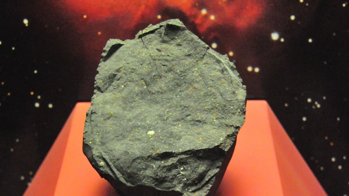 A dark, pitted fragment of the Murchison meteorite on an orange museum plinth against a painted starfield backdrop.