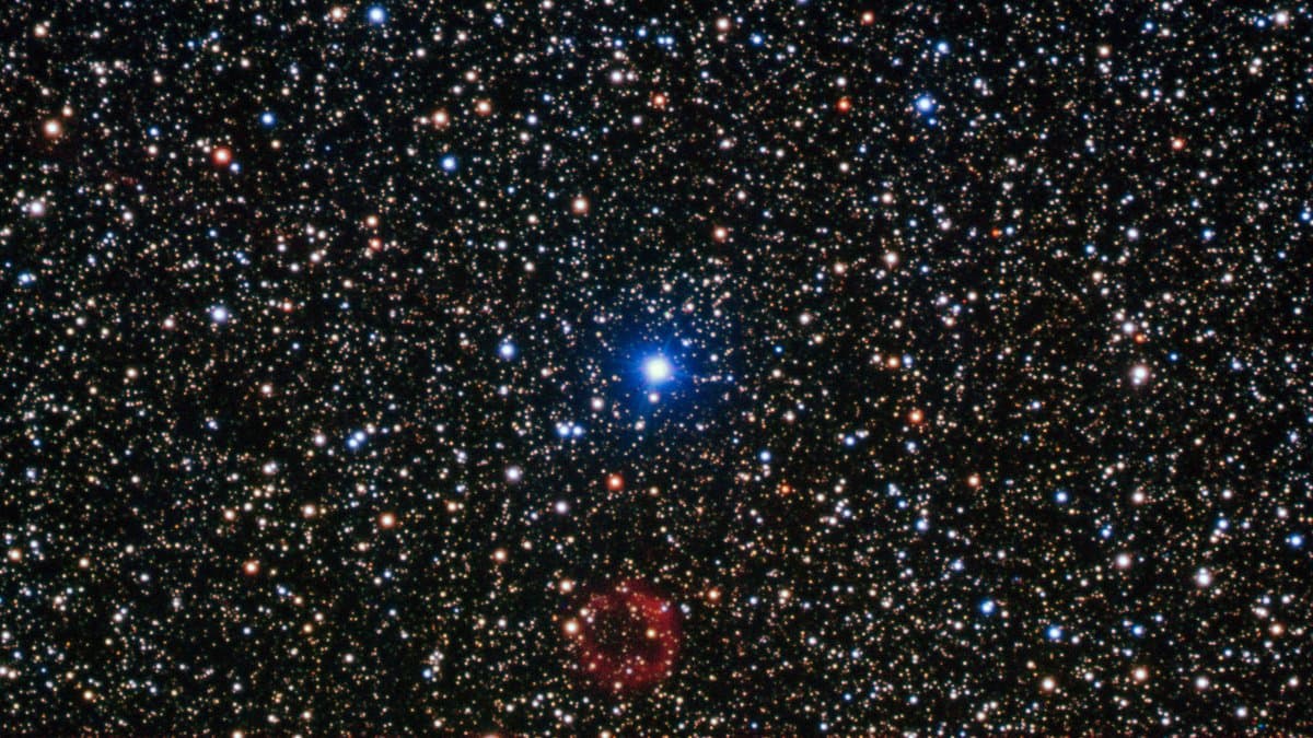 A dense field of stars in Sagittarius, with a faint red ring of gas around Sakurai's Object near the bottom center of the frame.