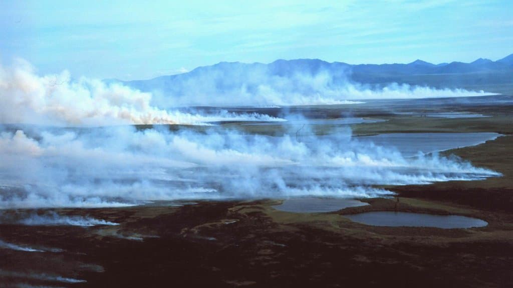 Aerial view of pale smoke lying low over dark burned tundra dotted with small ponds, with low hills on the horizon.
