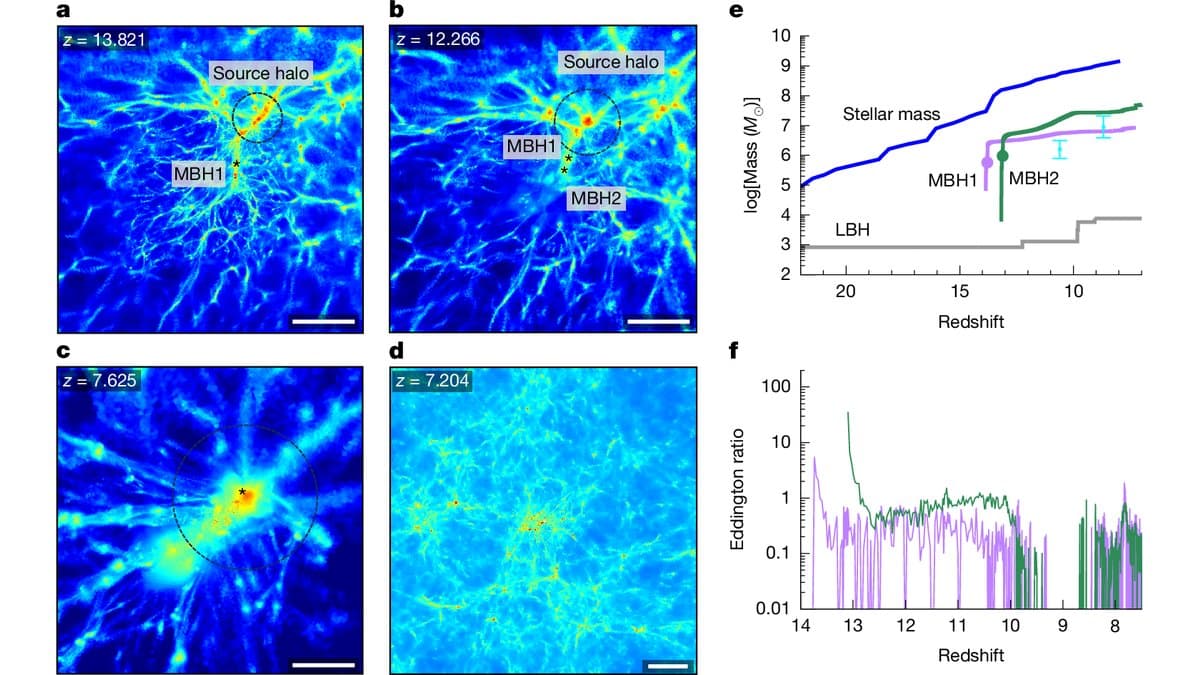 Six-panel scientific figure from a cosmological simulation: four maps of gas density around forming heavy black hole seeds at different redshifts, plus graphs of black hole mass growth and Eddington ratio.