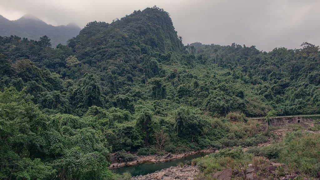Dense tropical forest covering steep limestone hills above a narrow river, with low cloud on the ridges