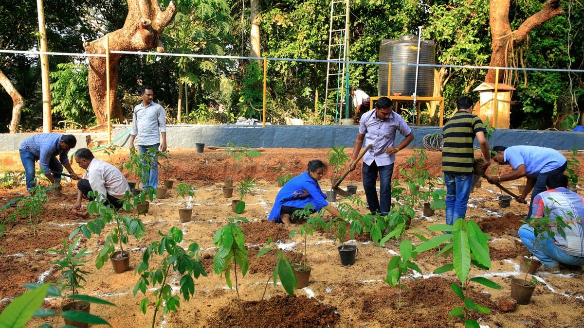 Volunteers planting young tree saplings in rows of bare reddish soil at an afforestation site.