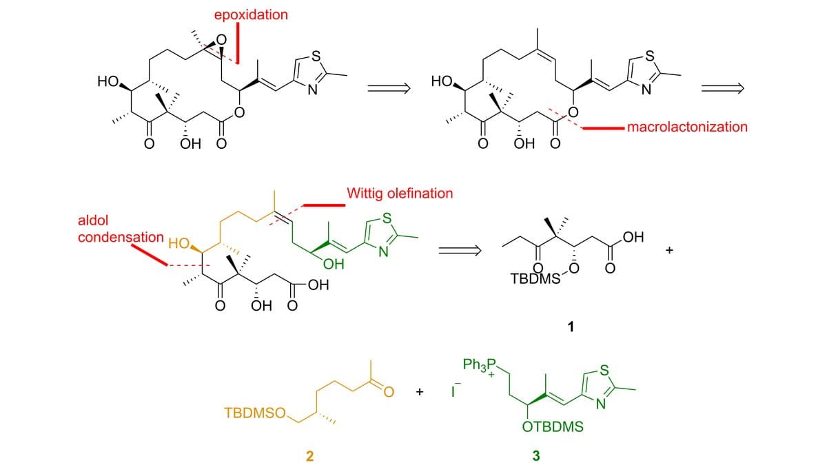 A retrosynthetic analysis of the anticancer compound epothilone B, with double arrows running backward from the finished molecule to simpler fragments beside labels reading epoxidation, macrolactonization, Wittig olefination and aldol condensation.