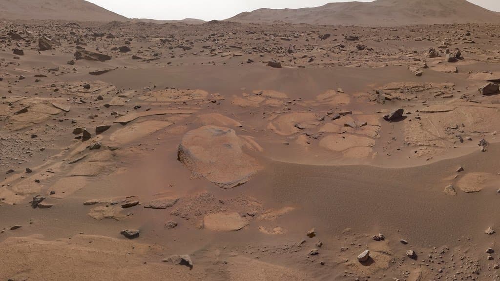 A rust-colored Martian plain of flat bedrock slabs, scattered dark rocks and rippled dust, with low hills along the horizon under a pale sky.