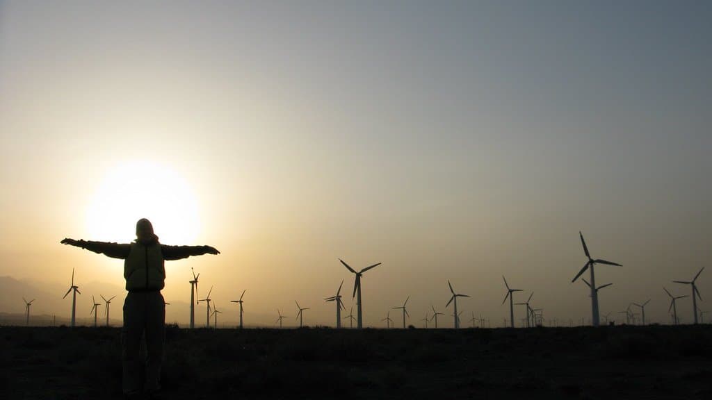Rows of wind turbines stretching to the horizon across a desert plain at sunset, with a person standing in silhouette in the foreground.