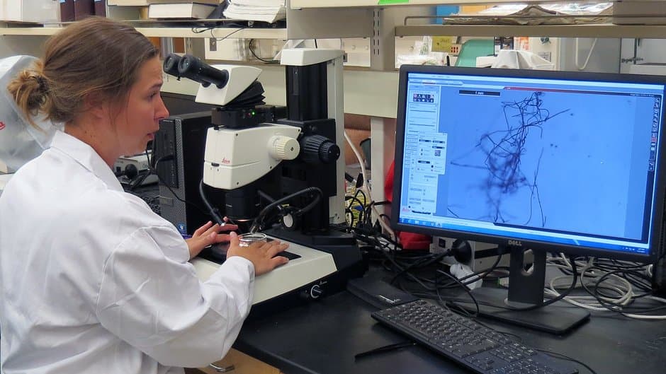 A researcher in a white lab coat works at a stereo microscope, with microplastic fibers shown on the monitor beside her.