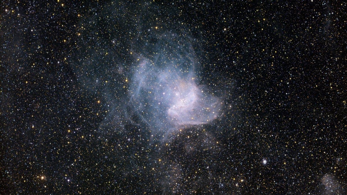 A dense field of stars with a pale blue nebula at the center, the star-forming region NGC 346 in the Small Magellanic Cloud.