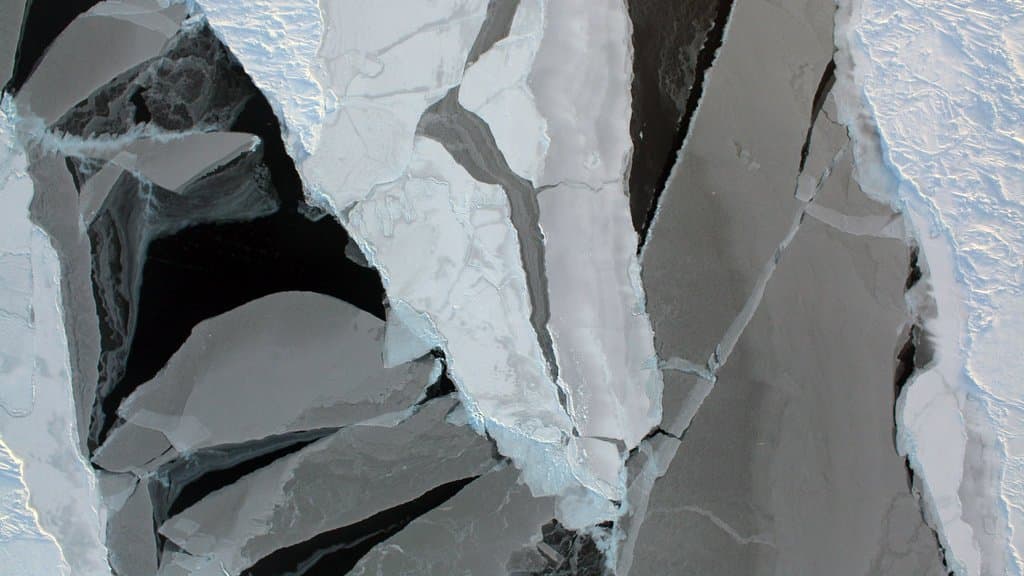Aerial view of cracked Arctic sea ice, with large pale floes separated by dark open water leads.