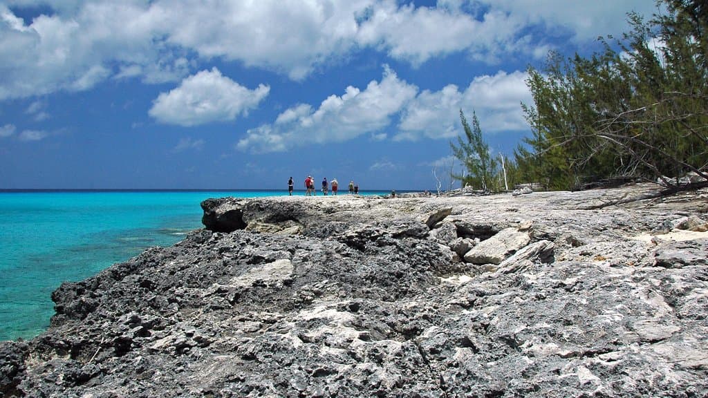 A low ledge of fossil-bearing limestone along a turquoise shoreline, with beachgoers in the distance and pines on the right.