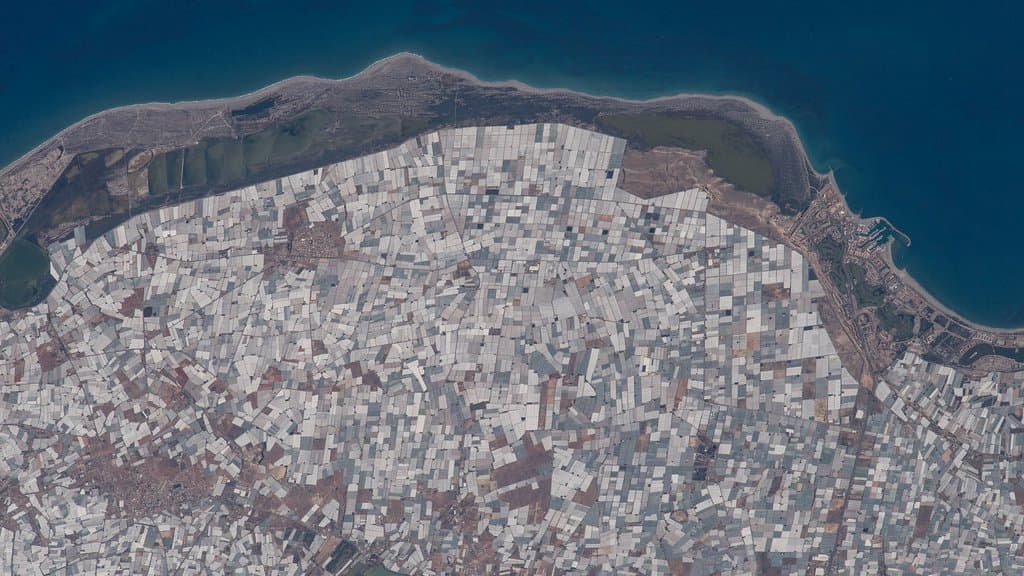 An aerial view of a coastal plain packed with white greenhouse roofs, with the sea at the top of the frame.