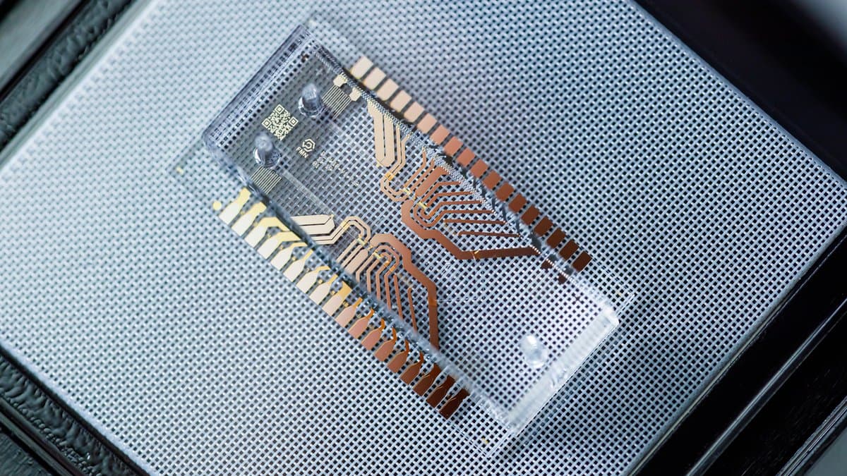 A small transparent microfluidic chip with gold contacts, lying on a perforated metal surface.