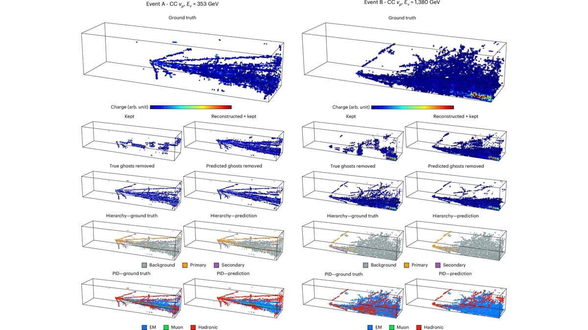 Five rows of three-dimensional event displays showing colored voxel tracks from simulated neutrino interactions inside a rectangular calorimeter volume, comparing the ground-truth readout with the model's reconstruction and its labels.