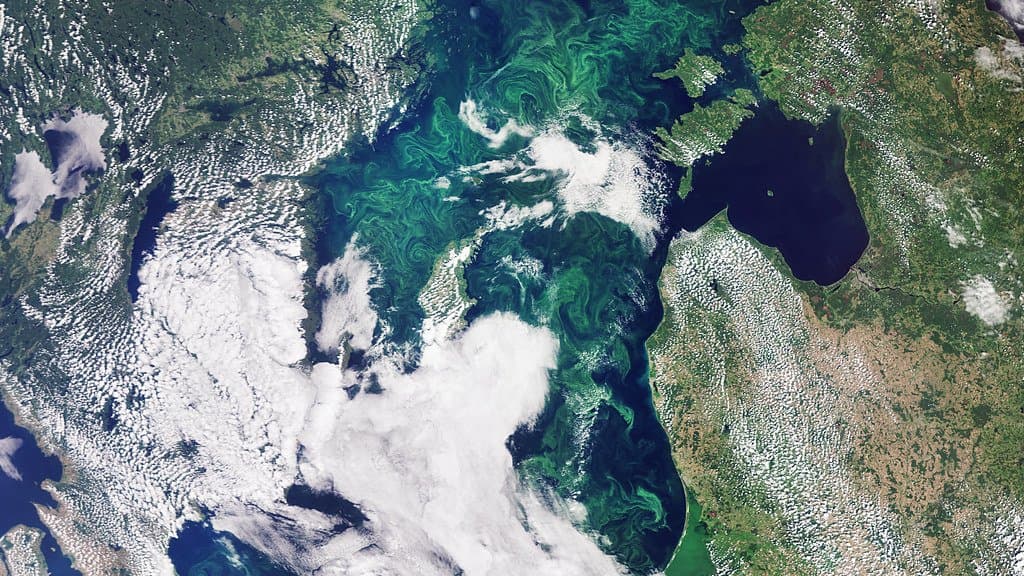 Satellite view of the Baltic Sea, with broad green swirls of algae bloom in the water between the Swedish, Finnish and Baltic coasts under scattered cloud.