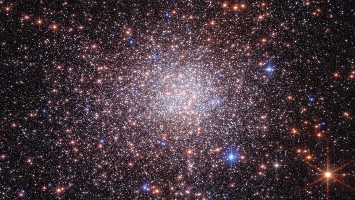 Thousands of tightly packed stars, white, blue and orange, filling the frame toward the center of the star cluster Terzan 5.