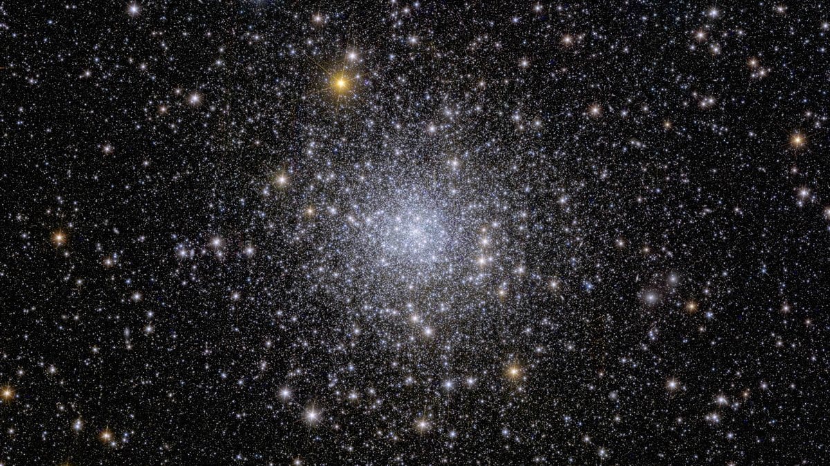 A dense, crowded field of tens of thousands of stars resolved by the Euclid space telescope in the globular cluster NGC 6397