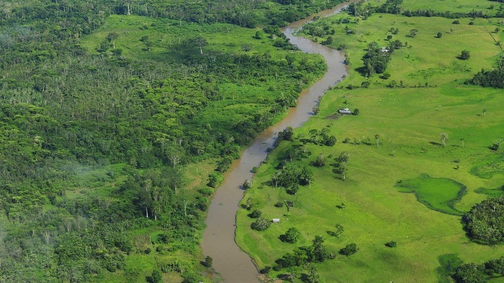 Aerial view of dense Amazon rainforest canopy in Brazil