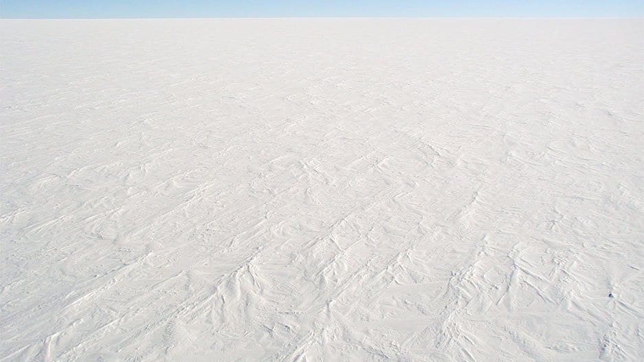 A flat, wind-textured expanse of snow stretching to the horizon under a clear blue sky on the East Antarctic plateau.