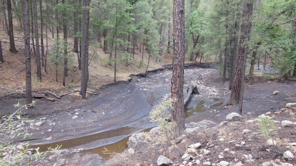 A creek channel through a burned forest coated in black ash, with dark ash-laden water pooling among the rocks.