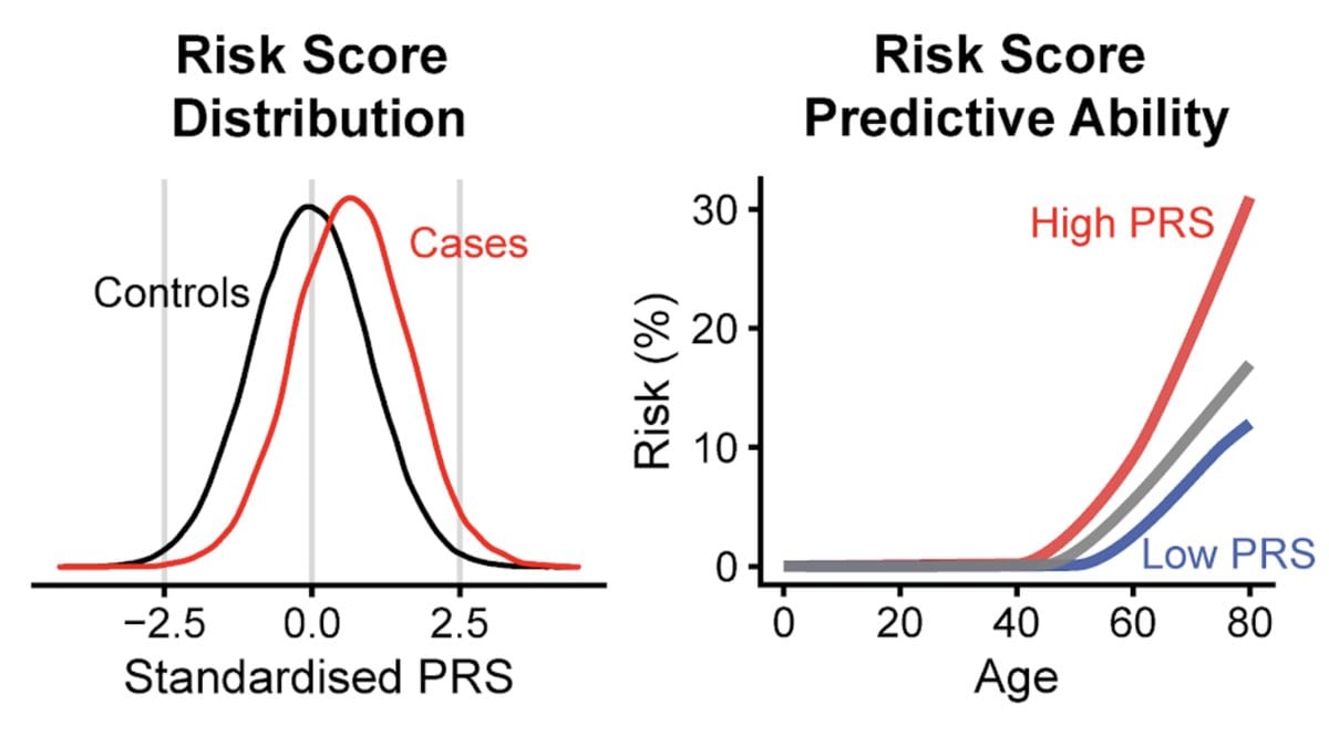 Two charts: overlapping bell curves of a standardised polygenic risk score for cases and controls, and a chart of risk rising with age for high, average and low scores