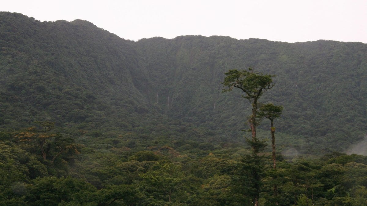 Mist-wreathed cloud-forest canopy and the steep forested ridge below the summit of Volcán Cacao, north-western Costa Rica.