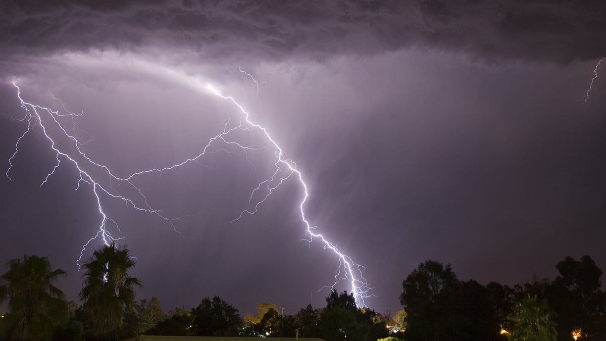 Several branching cloud-to-ground lightning bolts strike a dark treeline beneath a heavy storm cloud at night.