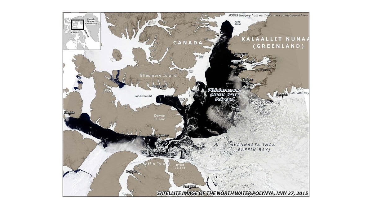 Labelled MODIS satellite image showing the dark open water of the North Water Polynya between Ellesmere Island and Greenland, surrounded by white sea ice.