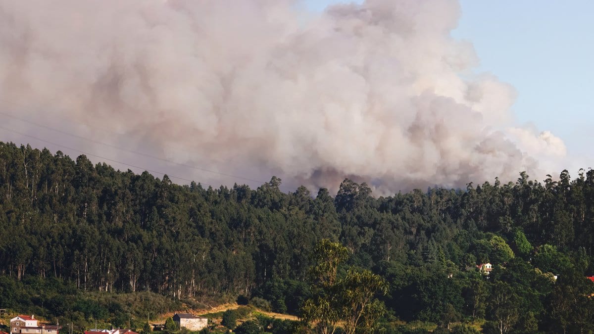 A dense wall of pale smoke rises from behind a eucalyptus-covered ridge, with scattered houses on the slope below.