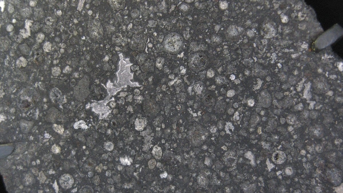 Cut and polished slab of the Allende carbonaceous chondrite meteorite, showing round grey chondrules and irregular white calcium-aluminum-rich inclusions set in a dark matrix.
