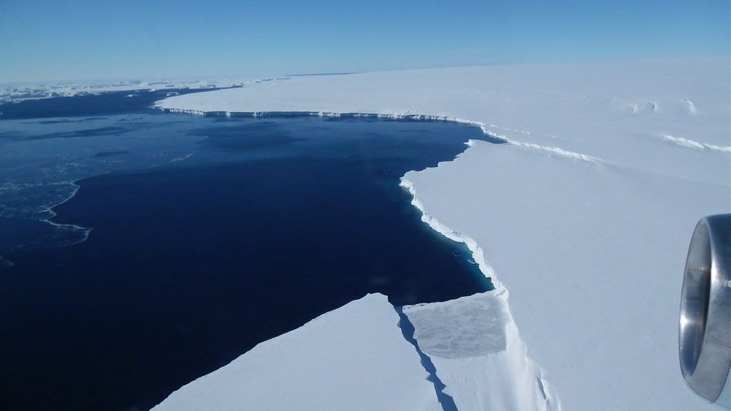 Aerial view from a survey aircraft of an Antarctic ice shelf front: a flat white ice plain ending in a cliff above dark open ocean, with the aircraft engine visible at right.