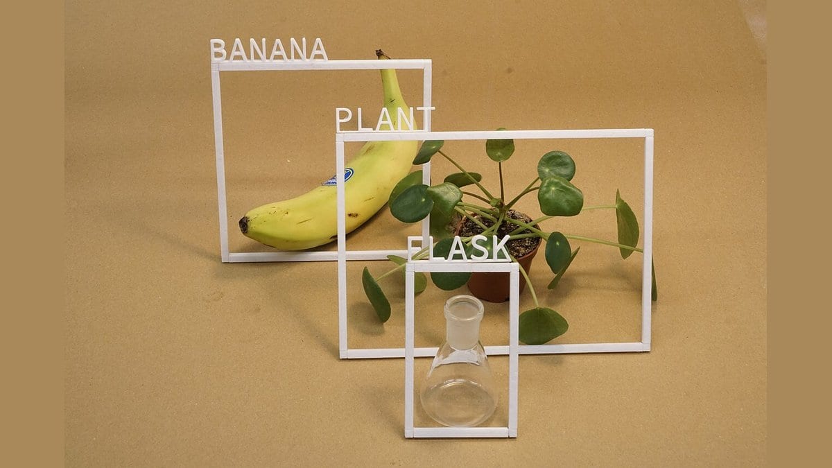 A banana, a potted plant and a glass flask on a tan backdrop, each enclosed by a white physical frame with printed word labels reading BANANA, PLANT and FLASK.