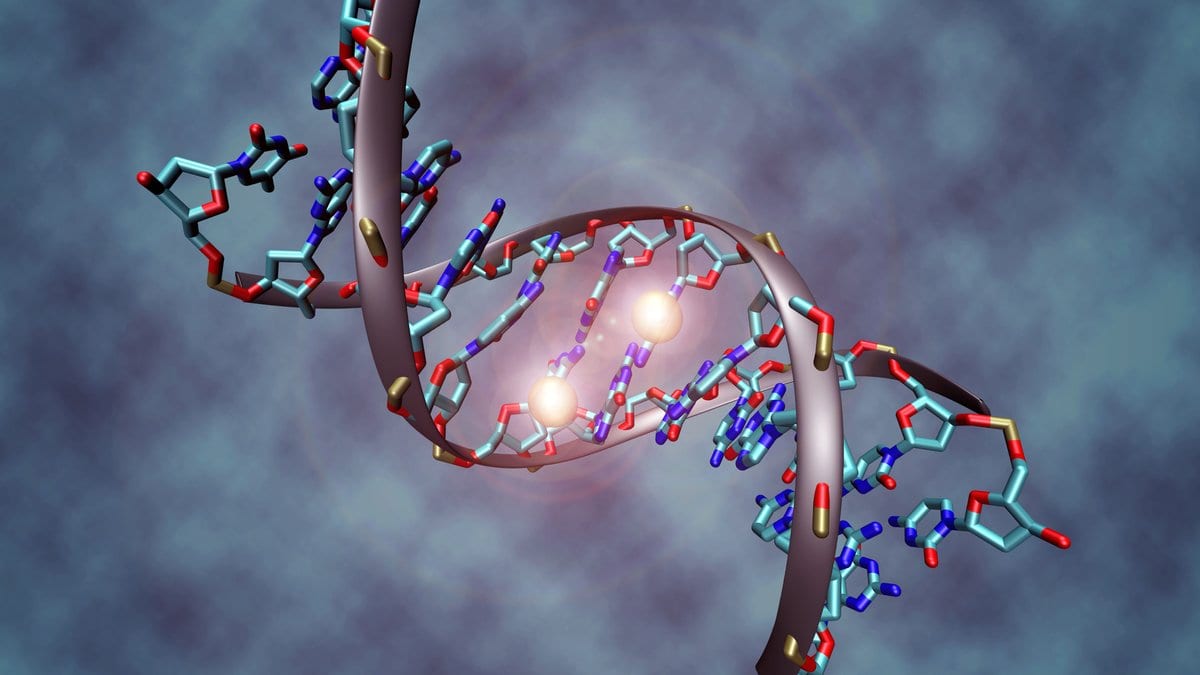 Three-dimensional illustration of a DNA double helix with two methyl groups highlighted in white where they attach to the bases.