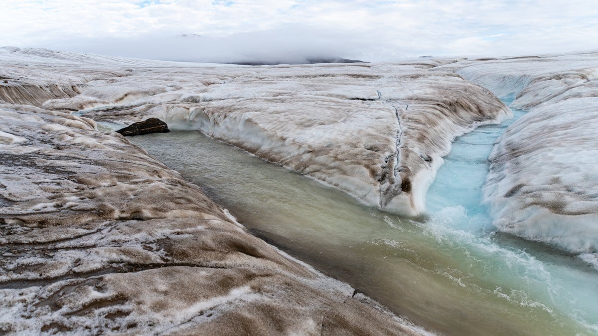 A sediment-stained meltwater river cutting a deep channel across the bare ice surface of Nordenskiold Glacier in Svalbard, with pale turquoise ice walls and low cloud over the ice cap behind.