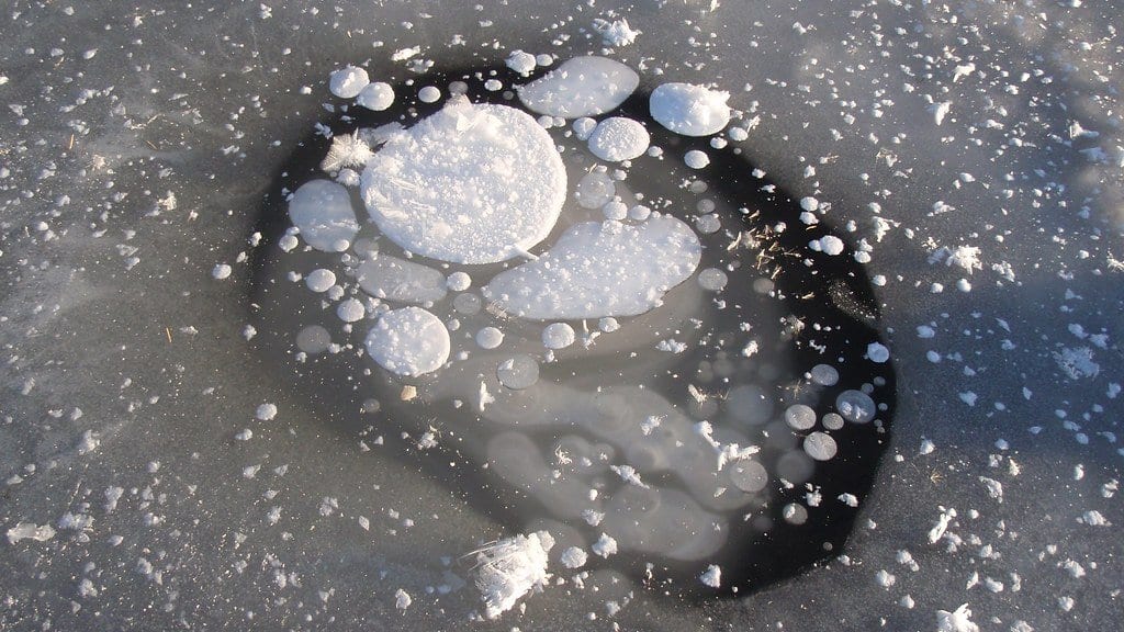 Rounded white methane bubbles trapped in the dark ice of a frozen lake, seen from above.