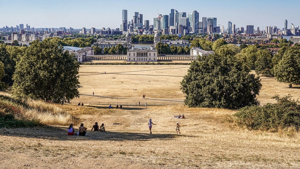 Sun-browned grass covering the slopes of Greenwich Park in London, with the city skyline and a few people on the parched lawn