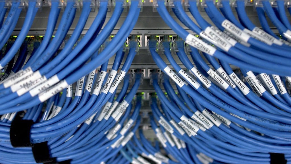 Rows of labeled blue network cables plugged into switch ports in a server rack.