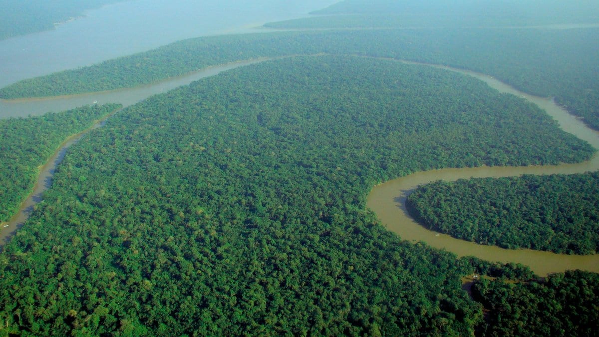 Aerial view of unbroken Amazon rainforest canopy with a brown river meandering through it and a hazy horizon beyond.