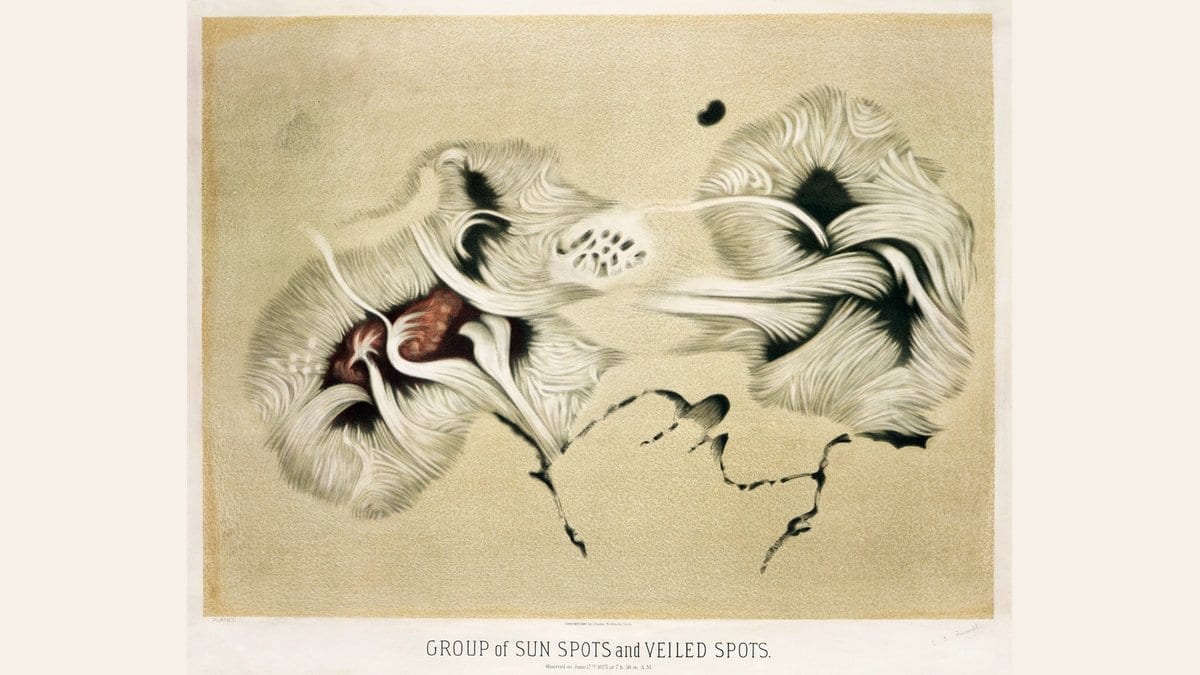 A 19th-century color lithograph of a large group of dark sunspots surrounded by swirling white filaments on the Sun's surface, printed under the title Group of Sun Spots and Veiled Spots.
