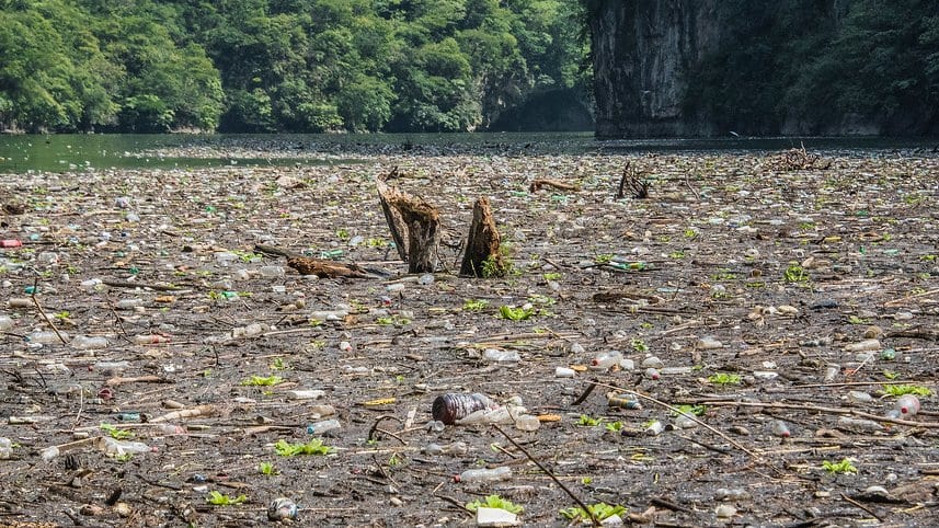 A river surface covered edge to edge with floating plastic bottles, foam and woody debris, with a forested limestone canyon wall rising behind.
