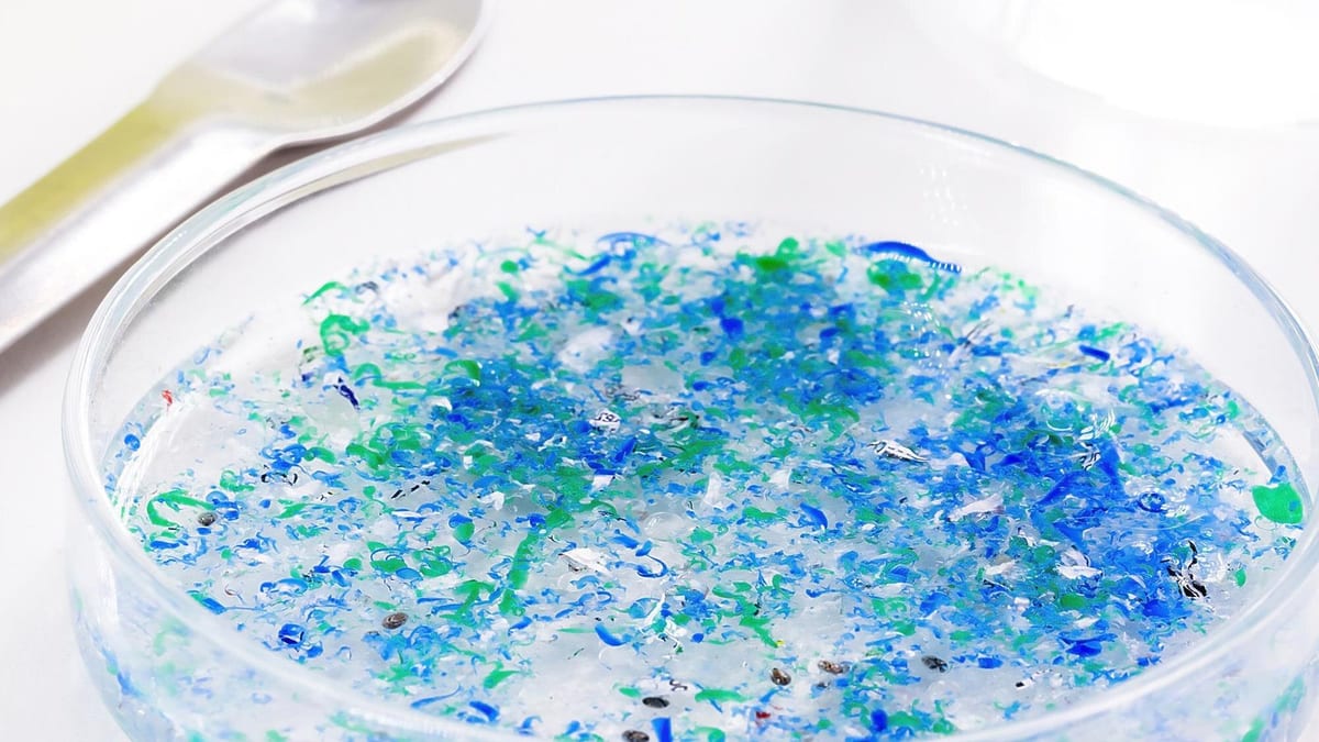 Microplastic fragments suspended in water in a glass Petri dish