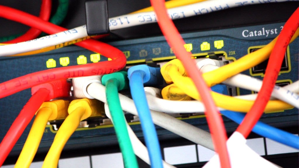 Colored Ethernet patch cables plugged into the front ports of a rack-mounted Cisco Catalyst network switch.