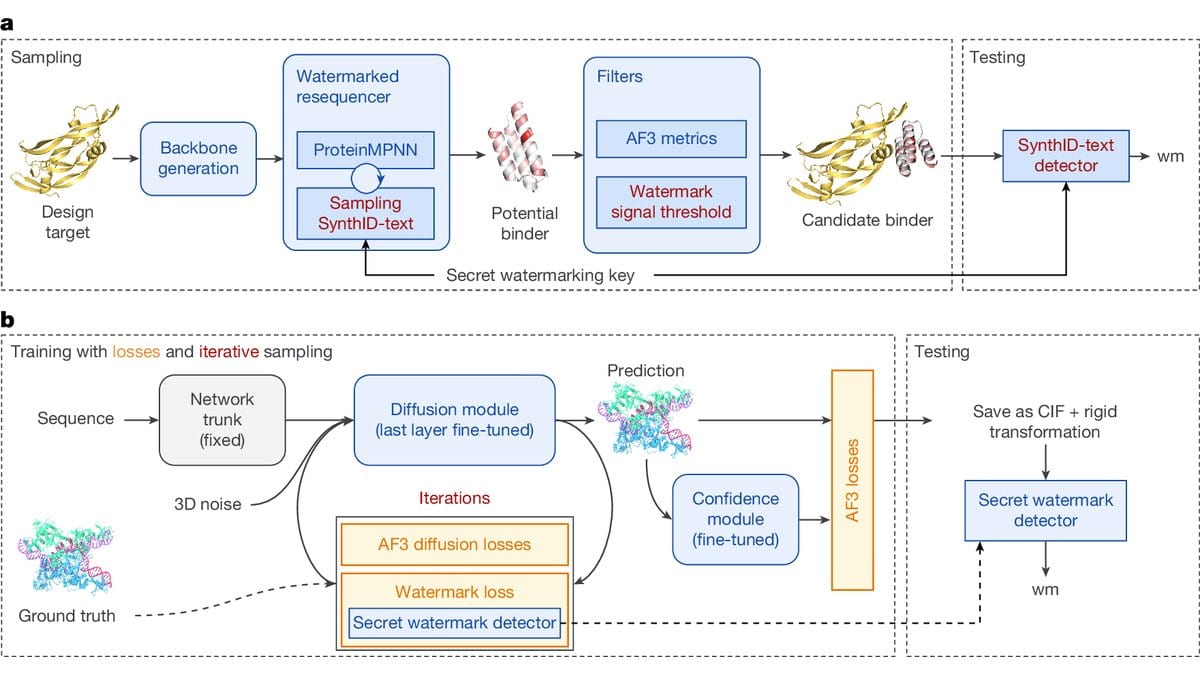 Two-row flow diagram. In the top row a protein design pipeline samples watermarked sequences, filters them and passes a candidate binder to a detector. In the bottom row a structure prediction model is fine-tuned so that a separate watermark detector can identify its predictions.