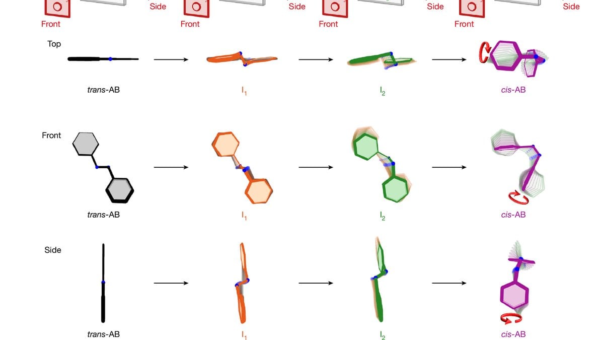 Rows of molecular models showing azobenzene changing shape in four steps, seen from the top, the front and the side.
