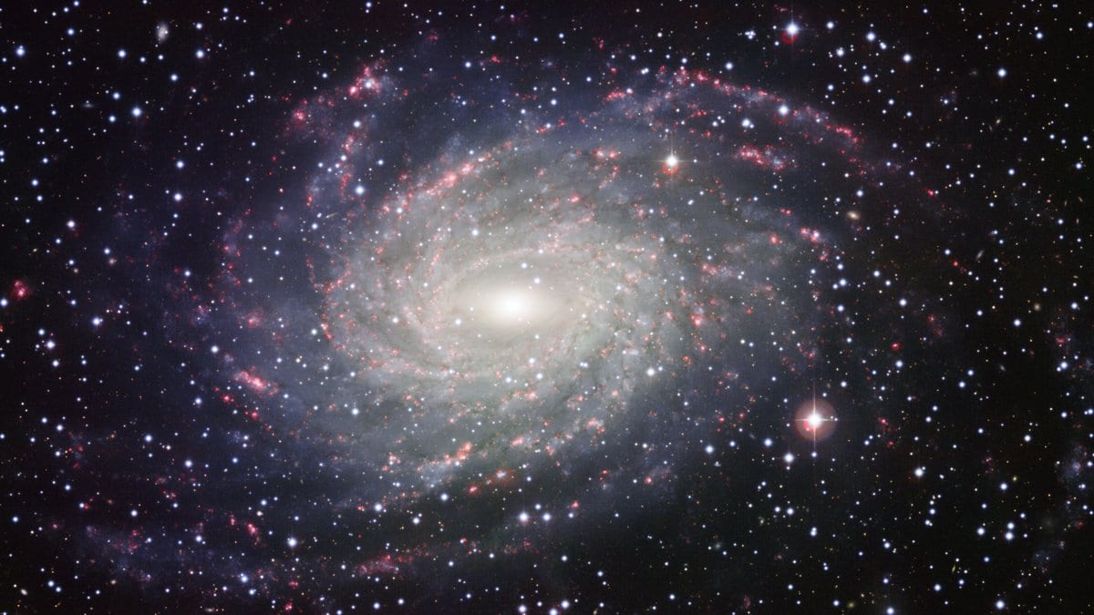 The face-on spiral galaxy NGC 6744, its arms studded with pink star-forming regions, against a dense field of foreground stars.