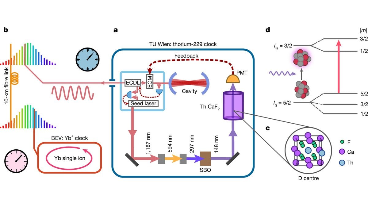 Schematic of the Vienna thorium-229 clock, showing the laser chain, the calcium fluoride crystal holding the nuclei, the photomultiplier readout and the link to an ytterbium ion clock.