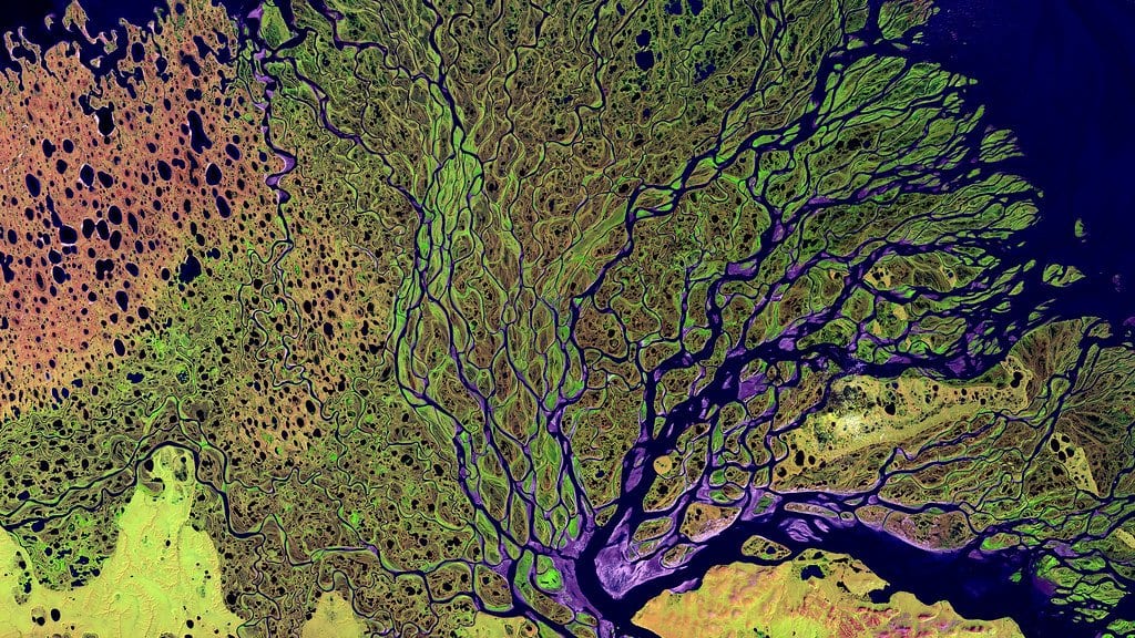 Satellite view of the Lena River delta in northern Siberia, its channels fanning out across the tundra toward the Arctic Ocean.