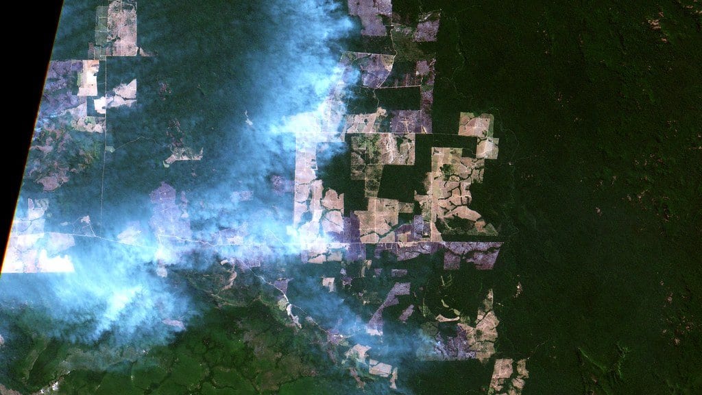 Satellite image of pale smoke plumes spreading west from a patchwork of cleared land over dark green rainforest.