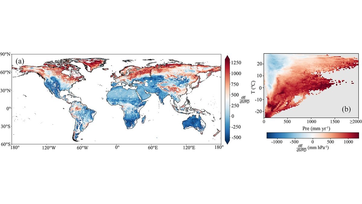 World map of the sensitivity of land water loss to vapor pressure deficit, red across northern high latitudes and blue across much of the subtropics, beside a chart of the same measure binned by annual rainfall and air temperature.