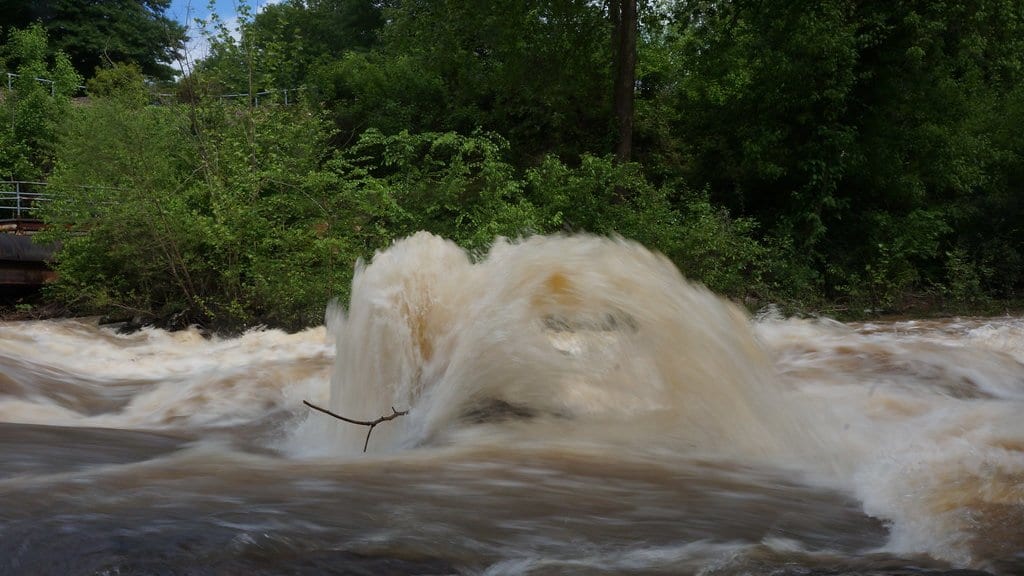 A brown, sediment-laden river surging over a rocky shoal below green trees after heavy rain.